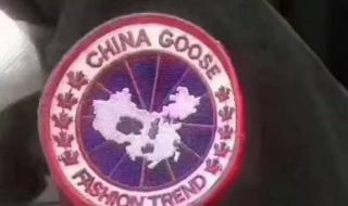 加拿大的男人不回家 加拿大的男人不回家