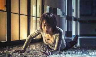 小雪任贤齐 小雪任贤齐