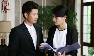 丁海峰主演的电视剧