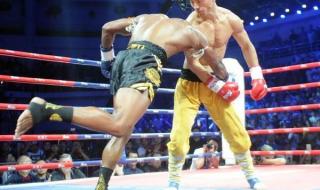 中国功夫对美国拳击