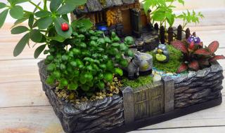 桌面小工具 桌面小工具