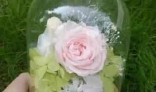 什么可以做干燥剂 什么可以做干燥剂